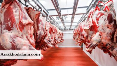 قیمت گوشت شهریور ماه اعلام شد